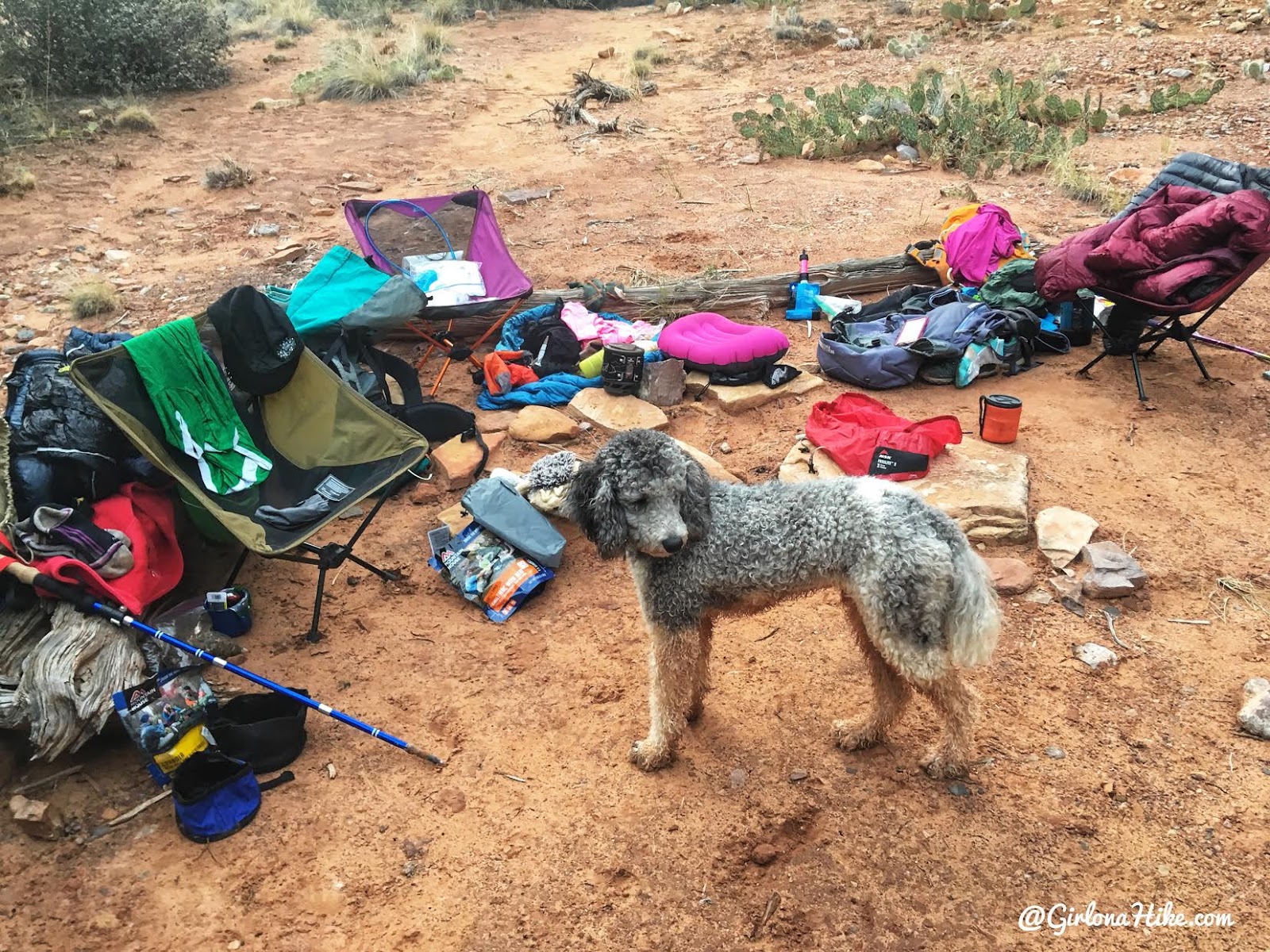 Backpacking Fish & Owl Canyons, Cedar Mesa & Bears Ears National Monument