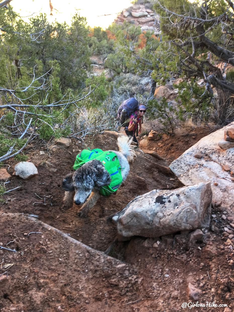 Backpacking Fish & Owl Canyons, Cedar Mesa & Bears Ears National Monument