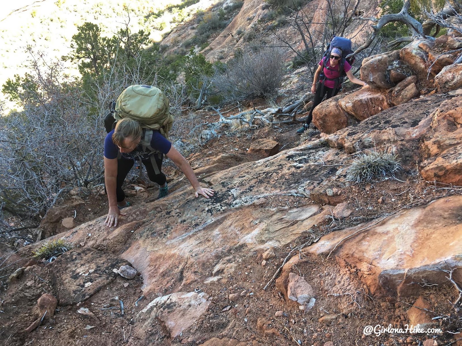 Backpacking Fish & Owl Canyons, Cedar Mesa & Bears Ears National Monument