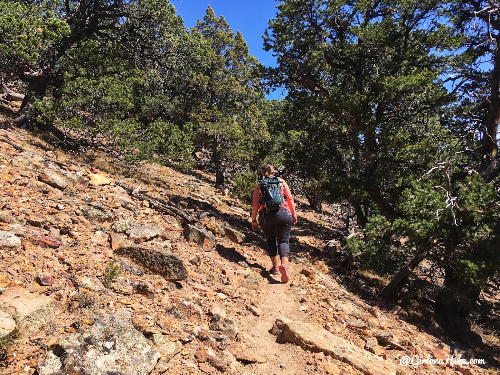 Hiking the North Vista Trail, Black Canyon of the Gunnison National Park