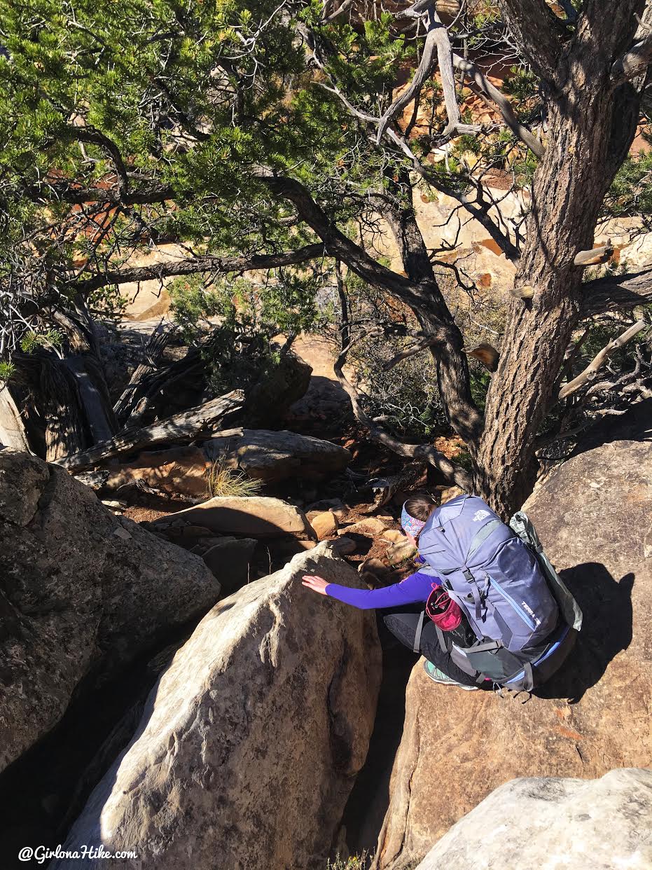 Backpacking Fish & Owl Canyons, Cedar Mesa & Bears Ears National Monument