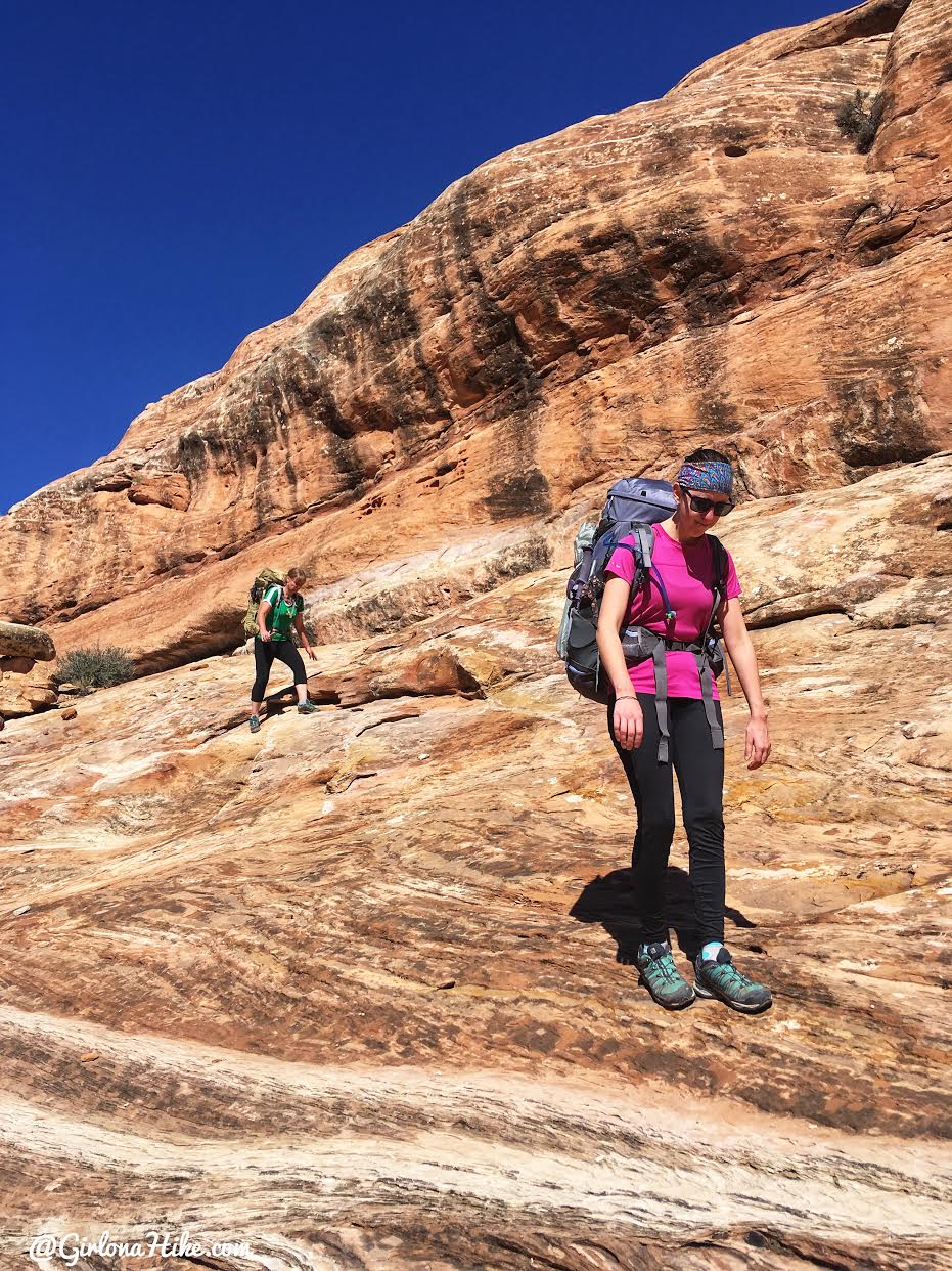 Backpacking Fish & Owl Canyons, Cedar Mesa & Bears Ears National Monument