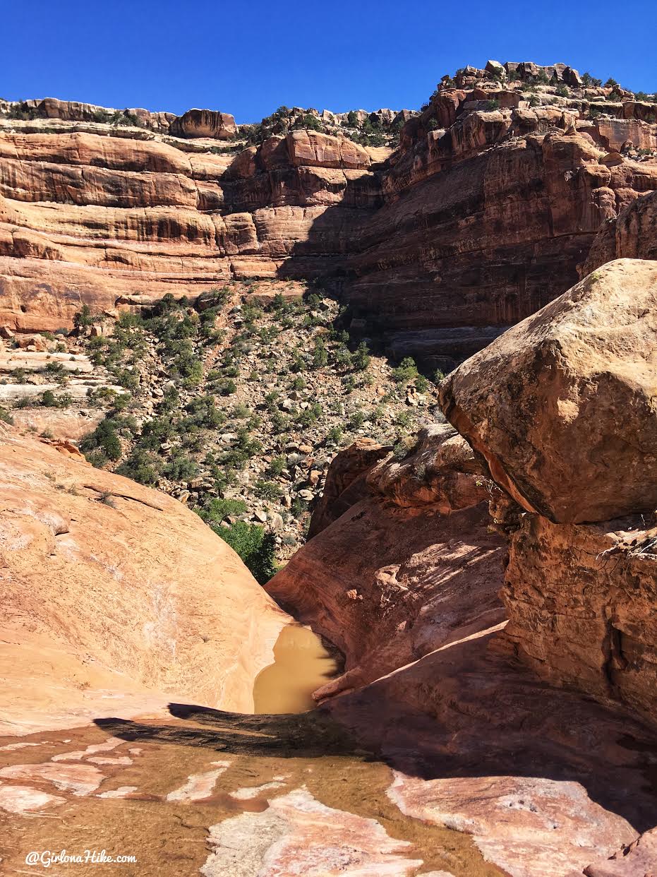 Backpacking Fish & Owl Canyons, Cedar Mesa & Bears Ears National Monument