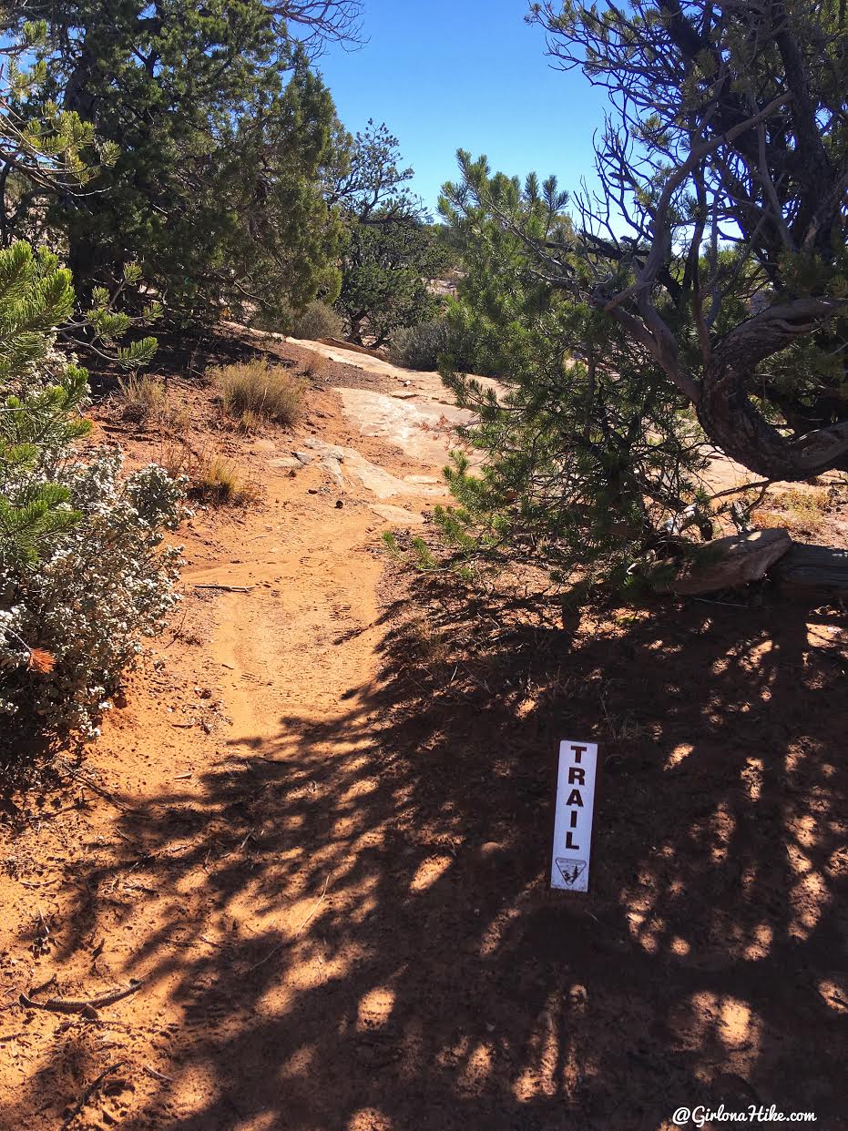 Backpacking Fish & Owl Canyons, Cedar Mesa & Bears Ears National Monument