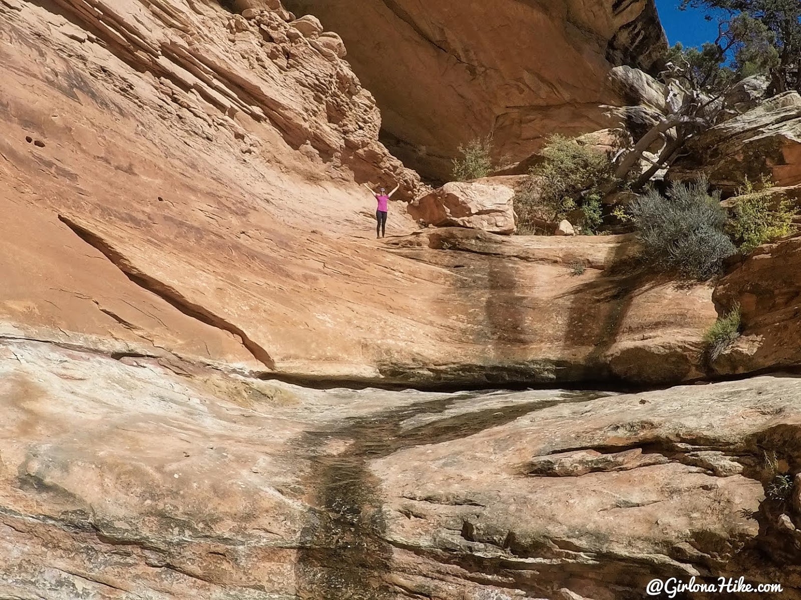 Backpacking Fish & Owl Canyons, Cedar Mesa & Bears Ears National Monument