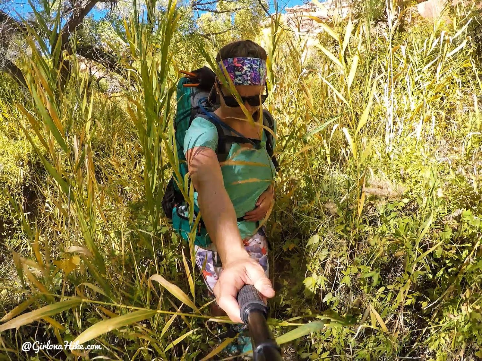 Backpacking Fish & Owl Canyons, Cedar Mesa & Bears Ears National Monument