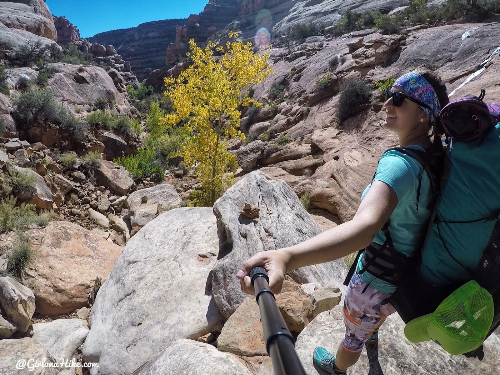 Backpacking Fish & Owl Canyons, Cedar Mesa & Bears Ears National Monument