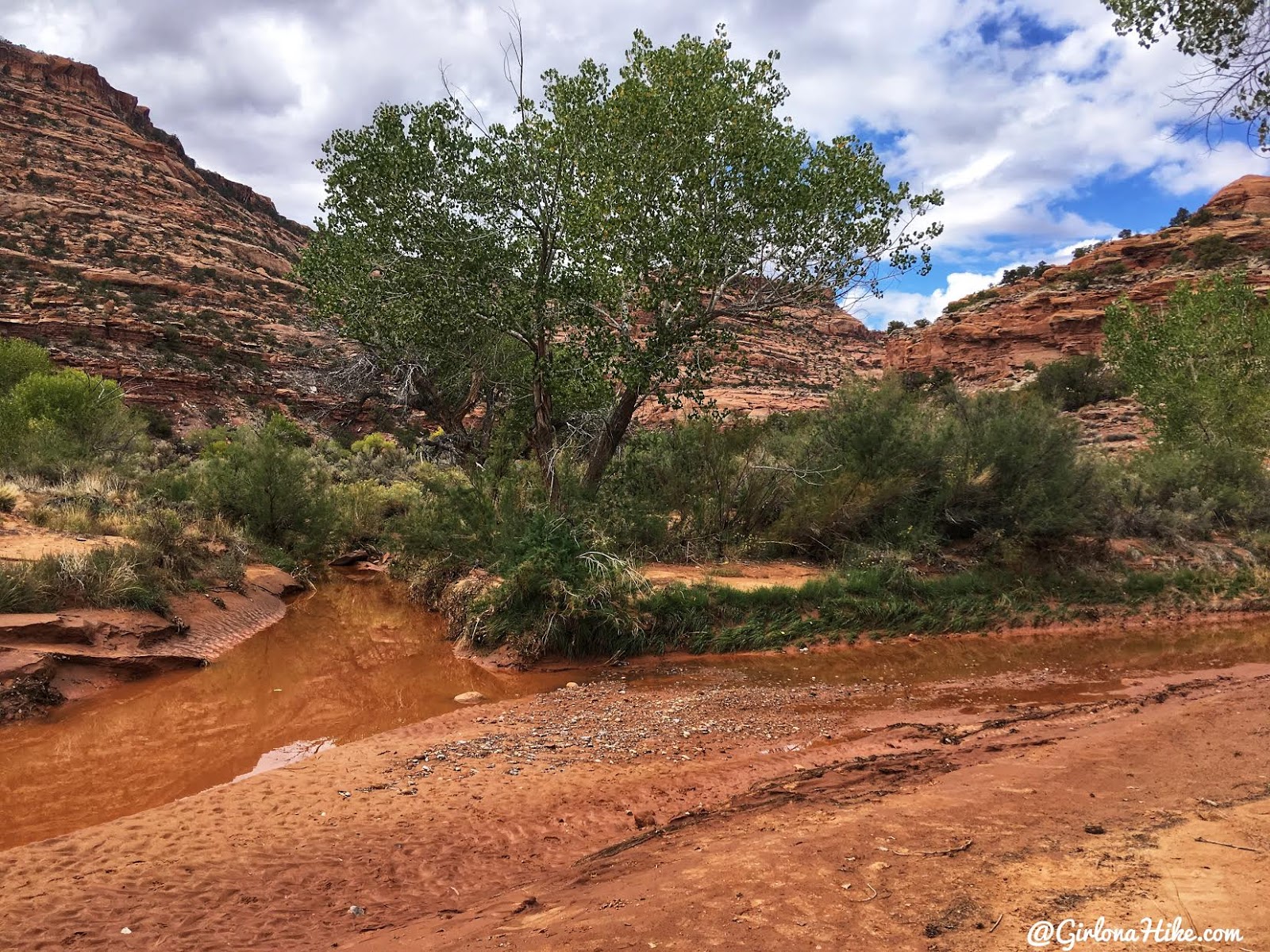 Backpacking Fish & Owl Canyons, Cedar Mesa & Bears Ears National Monument