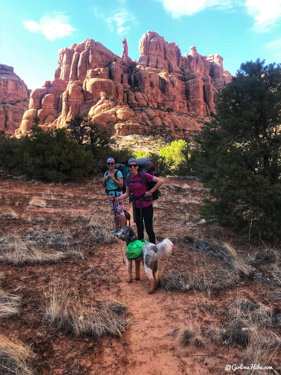 Backpacking Fish & Owl Canyons, Cedar Mesa & Bears Ears National Monument