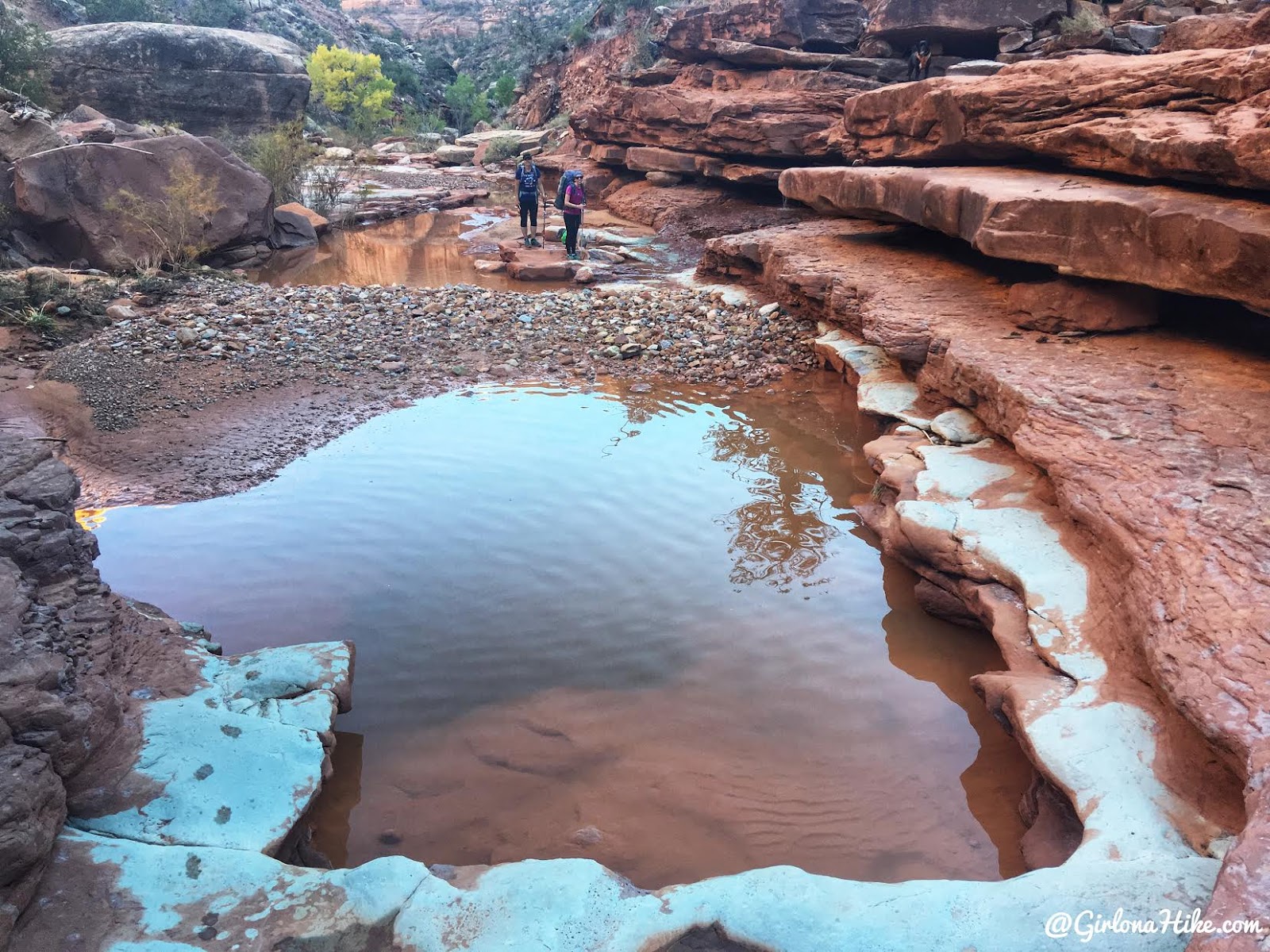 Backpacking Fish & Owl Canyons, Cedar Mesa & Bears Ears National Monument