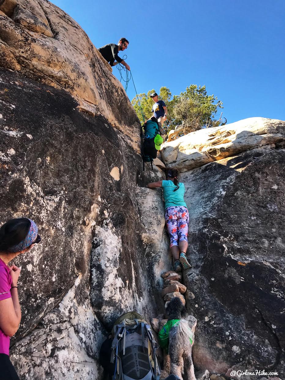 Backpacking Fish & Owl Canyons, Cedar Mesa & Bears Ears National Monument