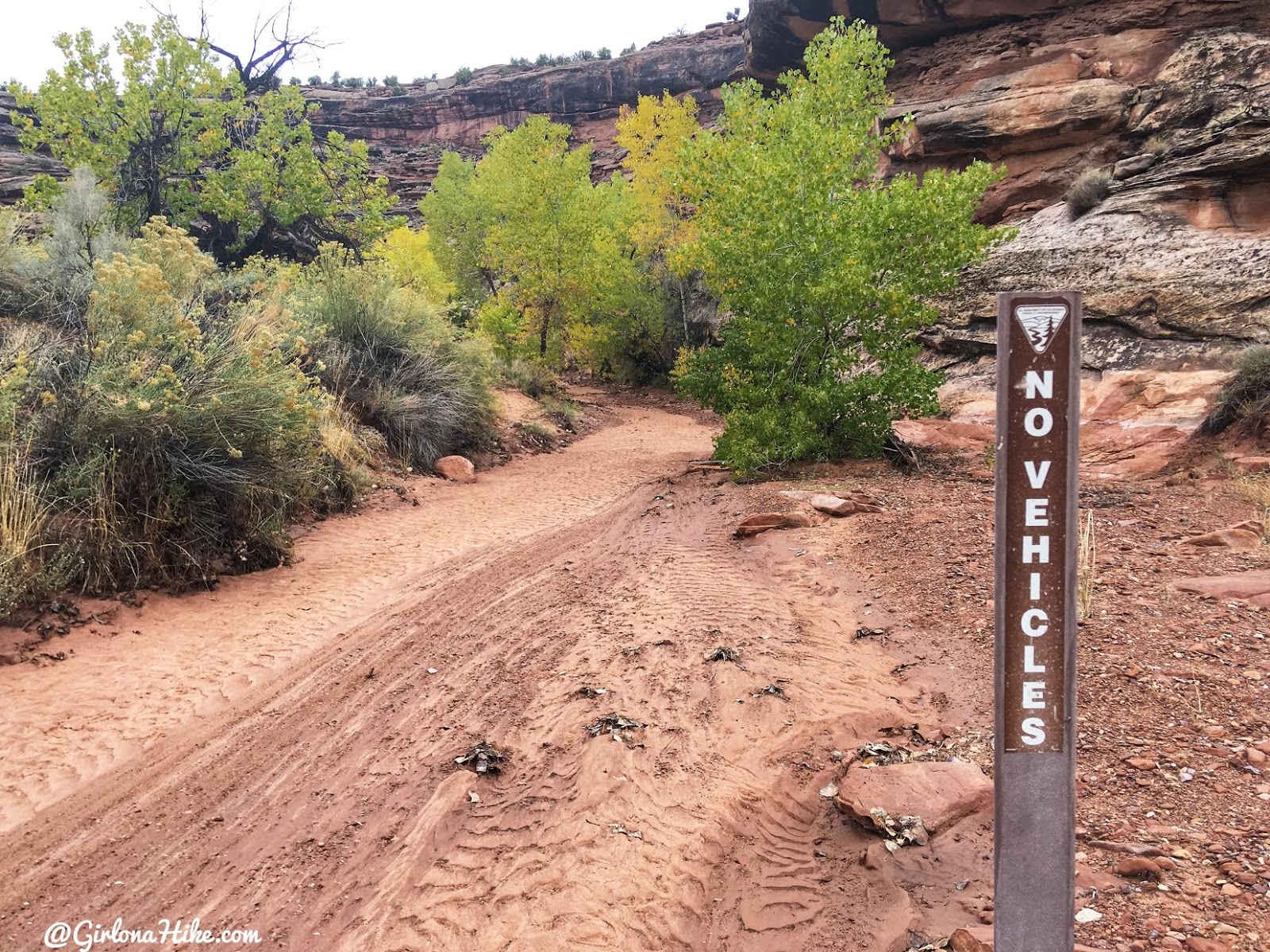 Hiking 7 Mile Canyon, Moab, Hiking Seven Mile Canyon, Moab, Hiking in Moab with Dogs