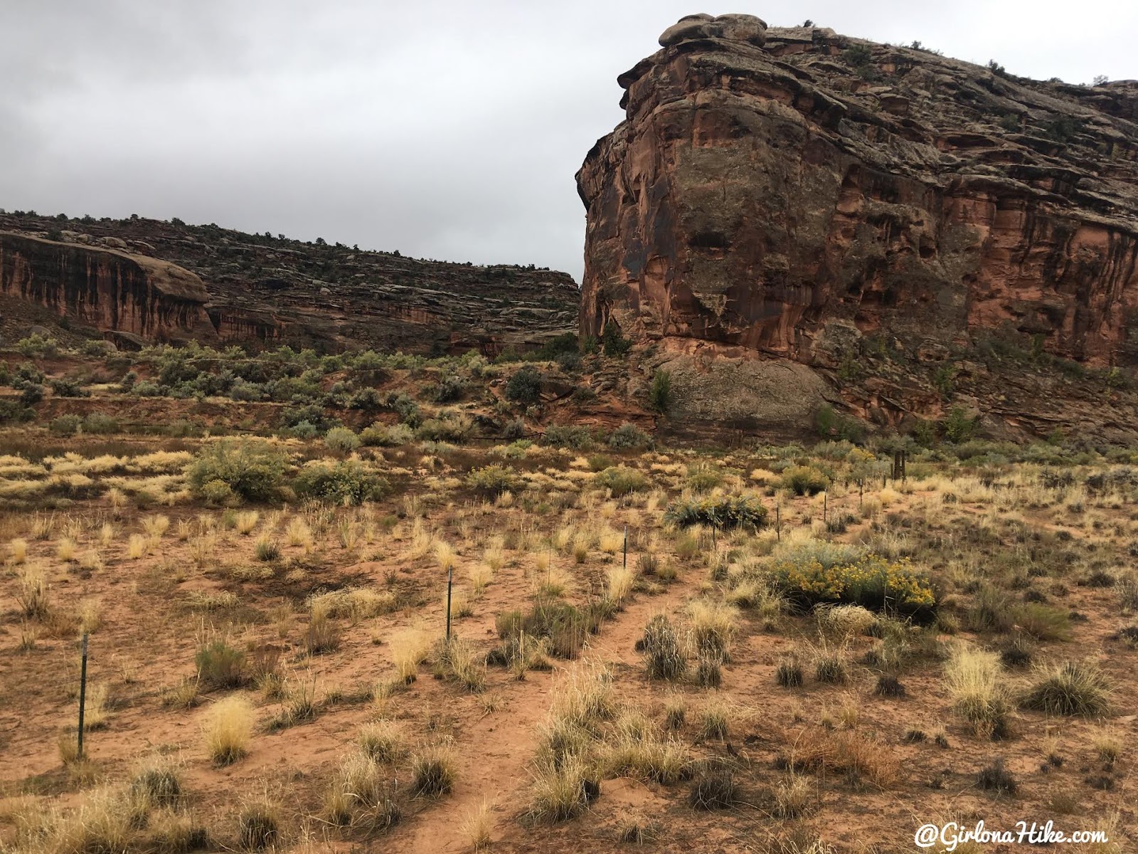 Hiking 7 Mile Canyon, Moab, Hiking Seven Mile Canyon, Moab, Hiking in Moab with Dogs