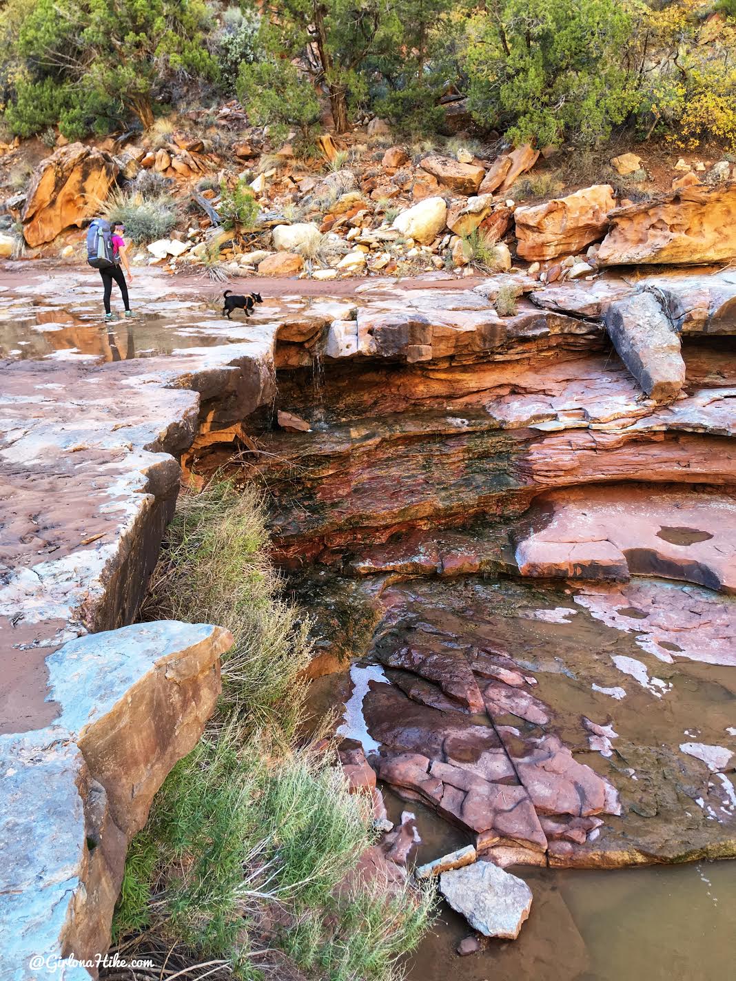 Backpacking Fish & Owl Canyons, Cedar Mesa & Bears Ears National Monument