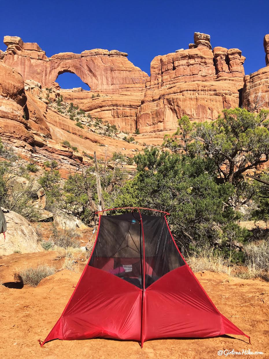 Backpacking Fish & Owl Canyons, Cedar Mesa & Bears Ears National Monument