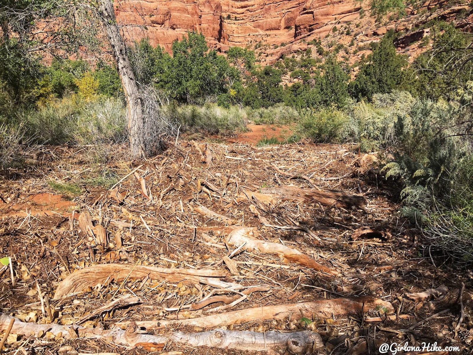 Backpacking Fish & Owl Canyons, Cedar Mesa & Bears Ears National Monument