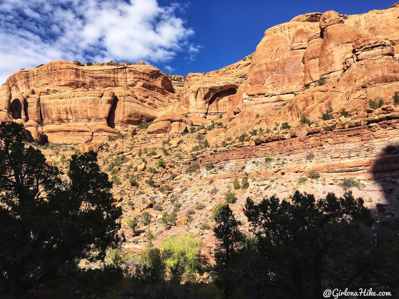 Backpacking Fish & Owl Canyons, Cedar Mesa & Bears Ears National Monument