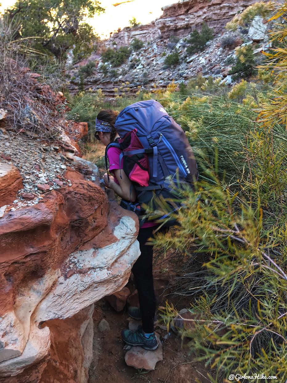 Backpacking Fish & Owl Canyons, Cedar Mesa & Bears Ears National Monument