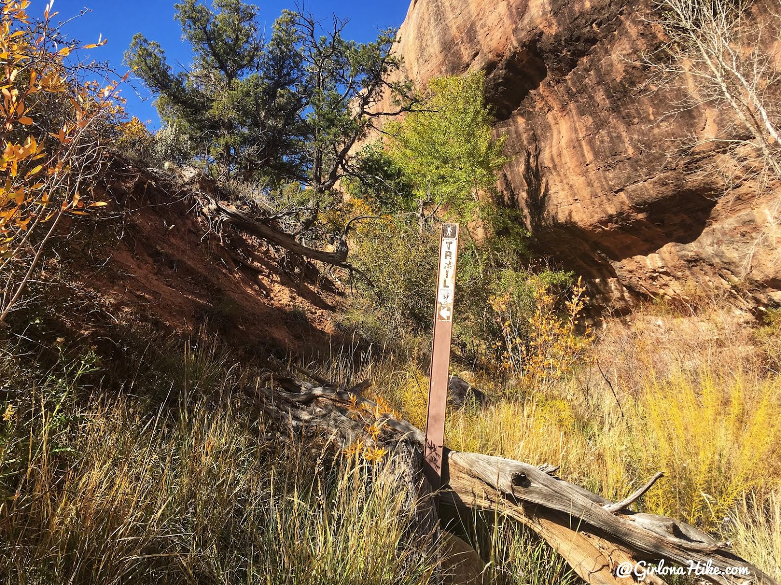 Backpacking Fish & Owl Canyons, Cedar Mesa & Bears Ears National Monument