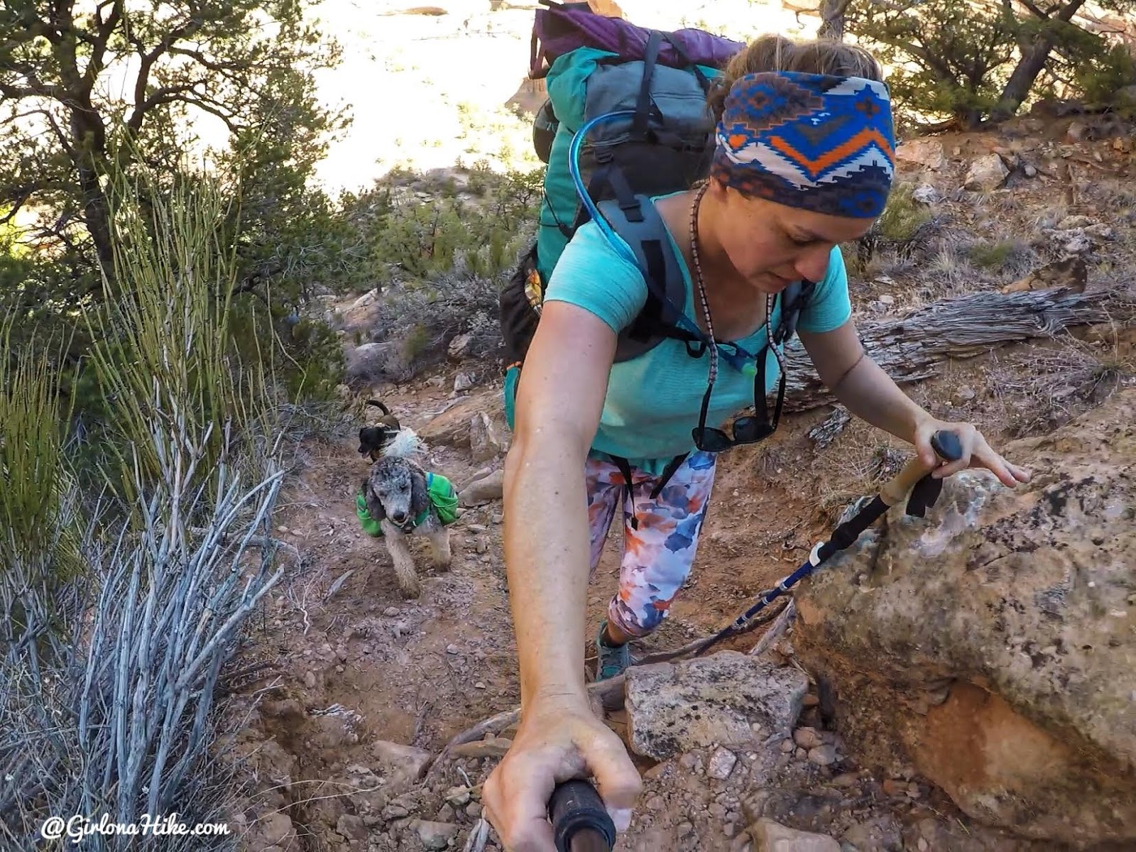 Backpacking Fish & Owl Canyons, Cedar Mesa & Bears Ears National Monument