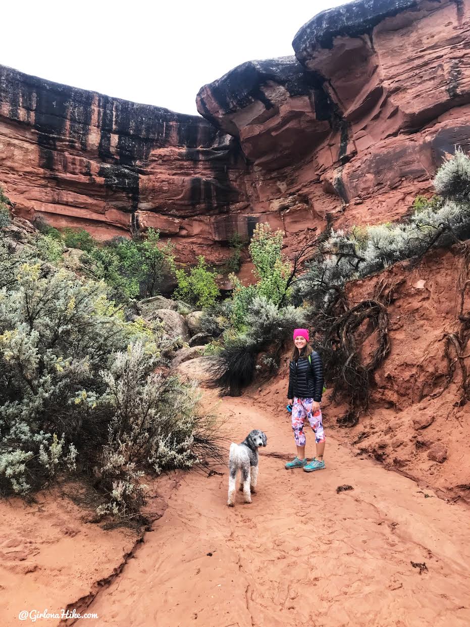 Hiking 7 Mile Canyon, Moab, Hiking Seven Mile Canyon, Moab, Hiking in Moab with Dogs