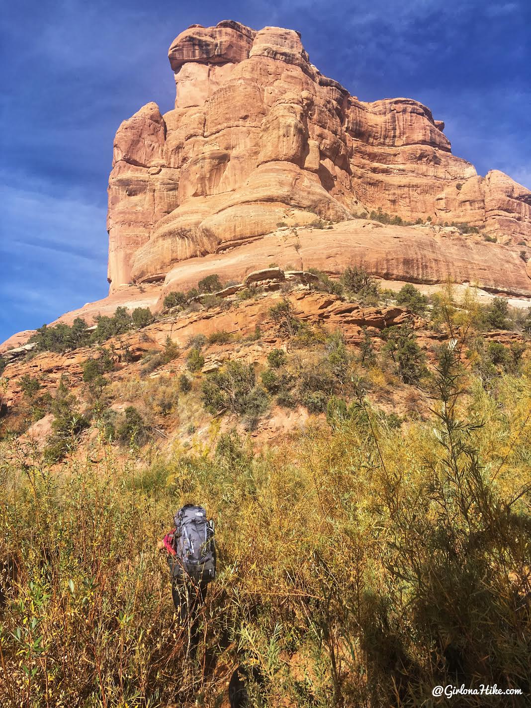 Backpacking Fish & Owl Canyons, Cedar Mesa & Bears Ears National Monument