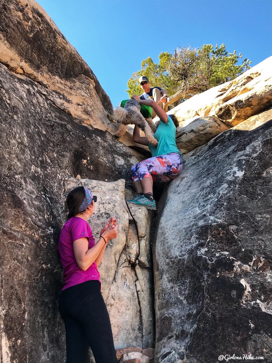 Backpacking Fish & Owl Canyons, Cedar Mesa & Bears Ears National Monument