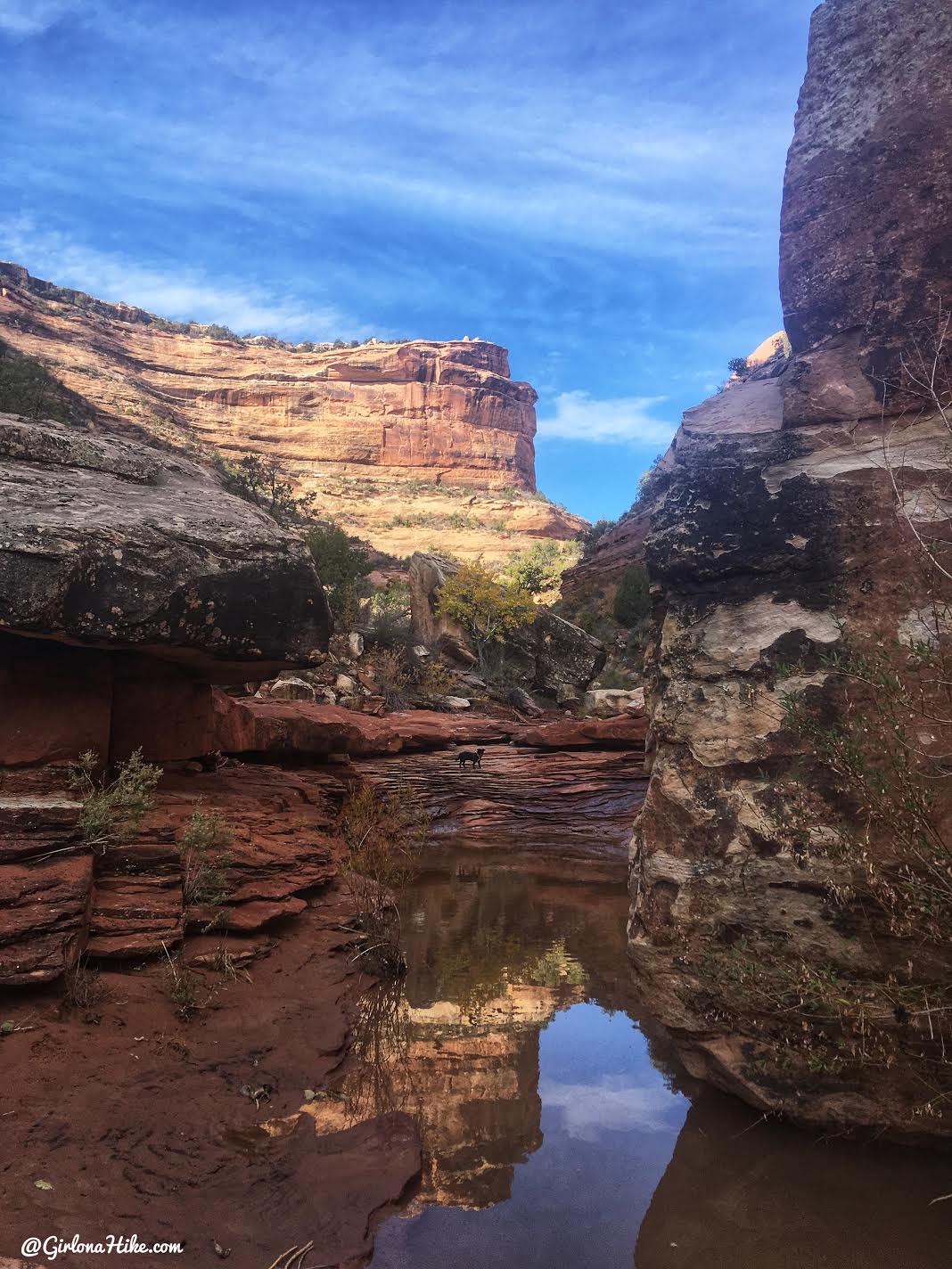 Backpacking Fish & Owl Canyons, Cedar Mesa & Bears Ears National Monument