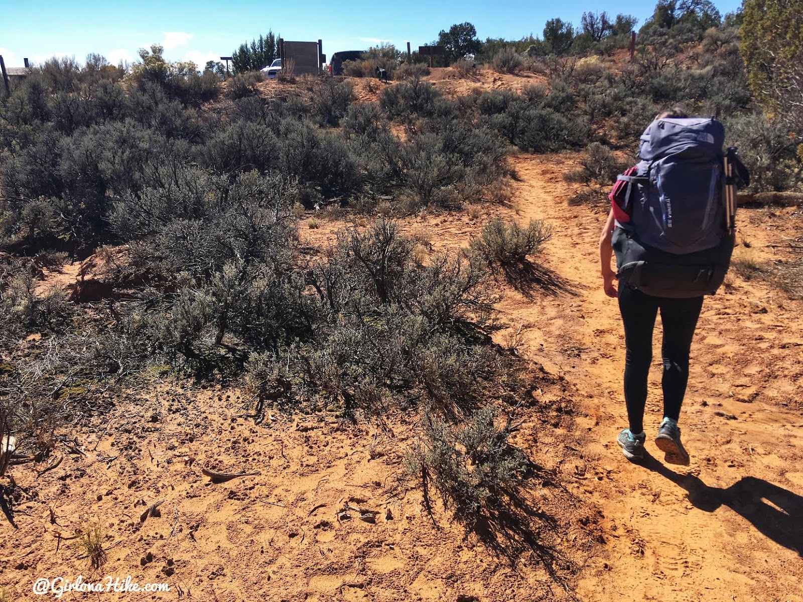 Backpacking Fish & Owl Canyons, Cedar Mesa & Bears Ears National Monument