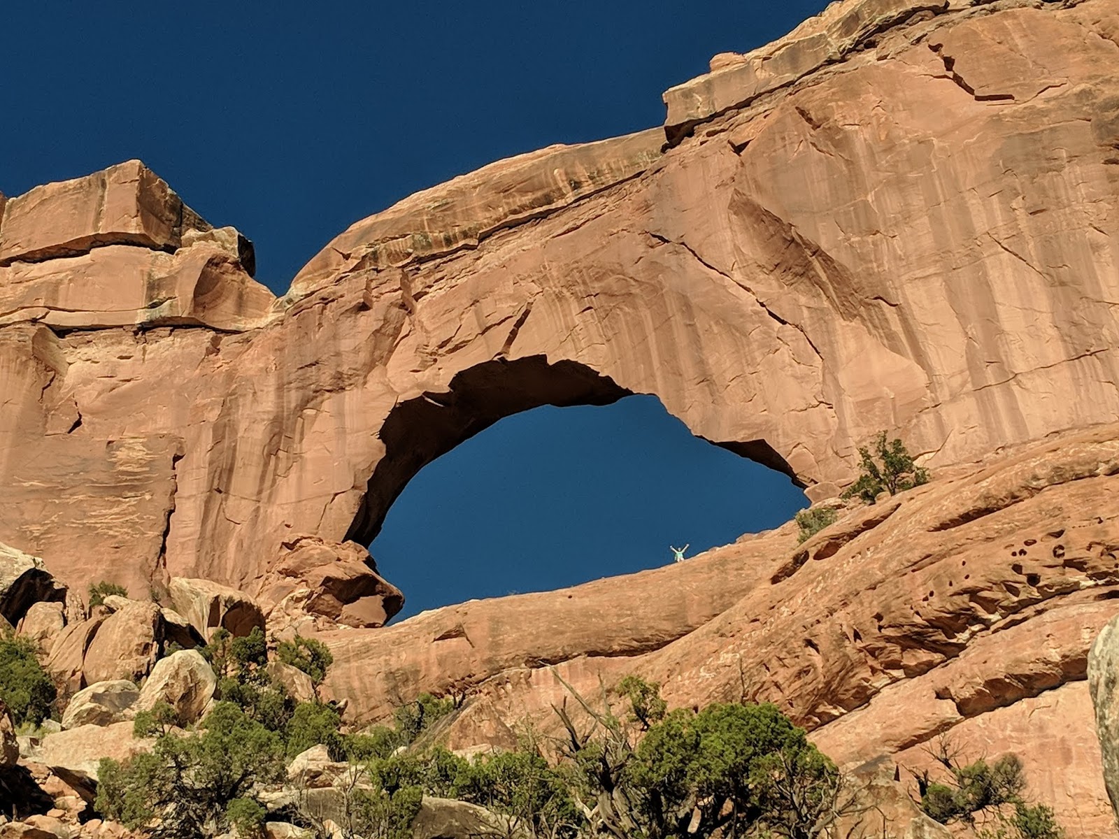 Backpacking Fish & Owl Canyons, Cedar Mesa & Bears Ears National Monument