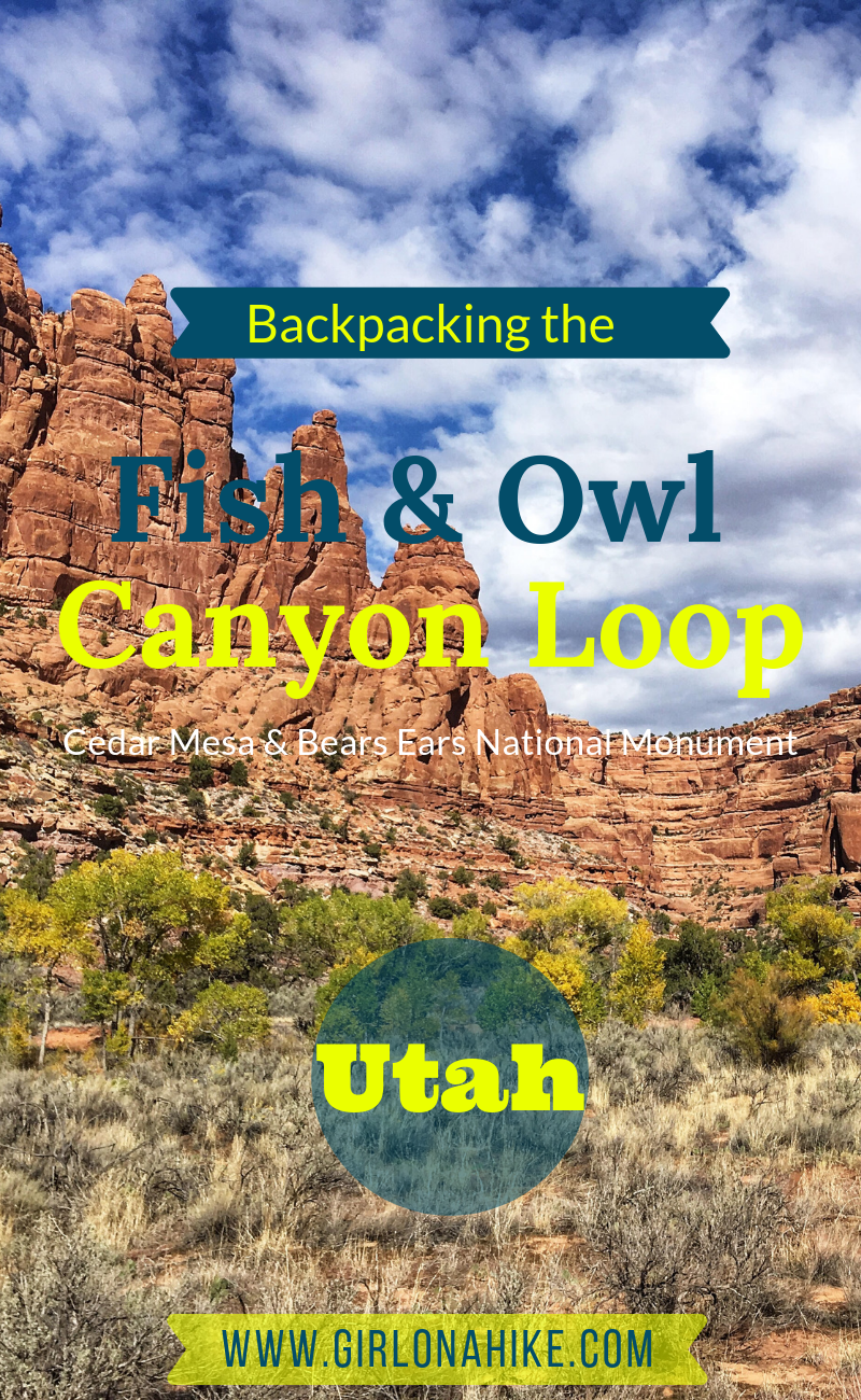 Backpacking Fish & Owl Canyons, Cedar Mesa & Bears Ears National Monument