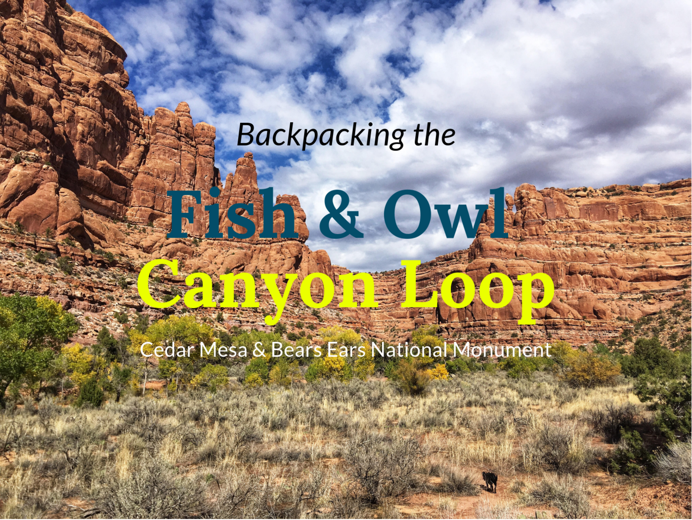 Backpacking Fish & Owl Canyons, Cedar Mesa & Bears Ears National Monument