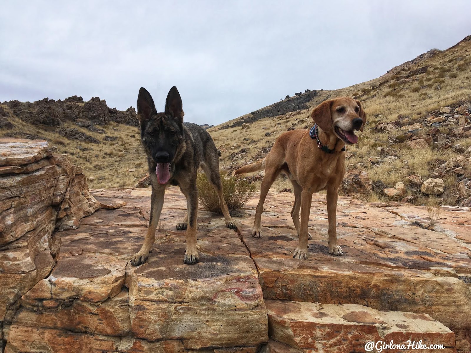 Hiking to Castle Rock, Stansbury Island