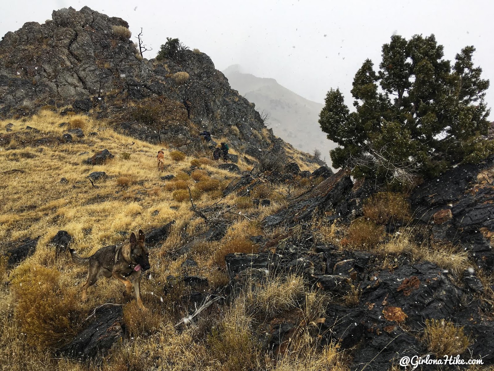 Hiking to Castle Rock, Stansbury Island