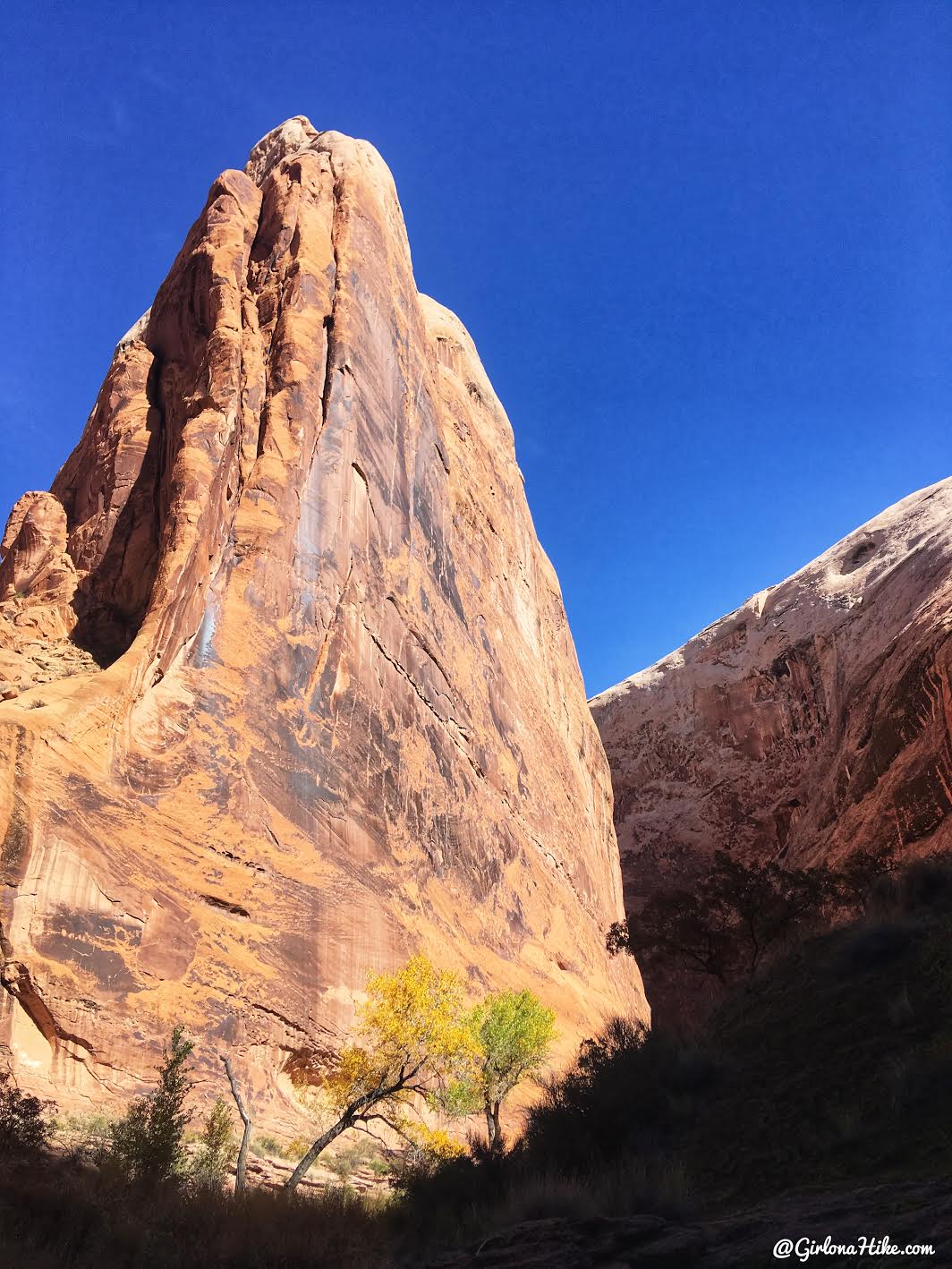 Backpacking Halls Creek Narrows, Capitol Reef National Park