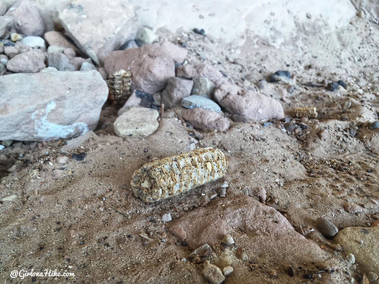 Exploring the Comb Ridge Canyons & Ruins, Cedar Mesa, Butler Wash, Monarch Cave Ruins