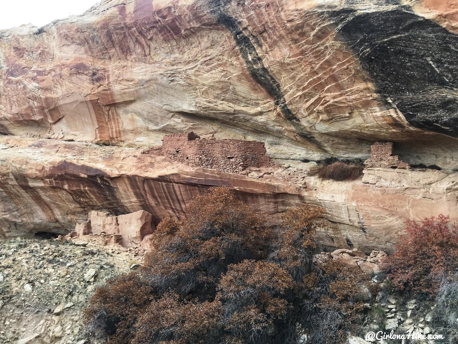 Exploring the Comb Ridge Canyons & Ruins, Cedar Mesa, Butler Wash, Split Level Ruins
