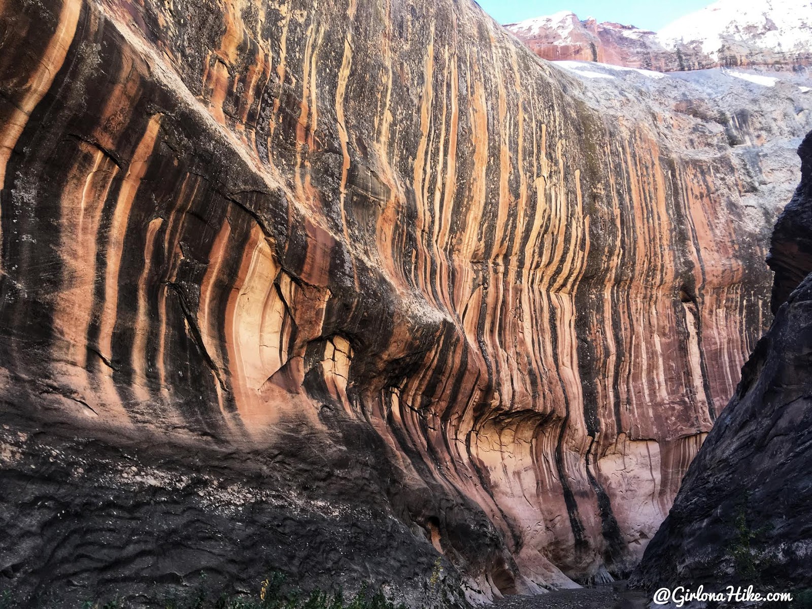 Backpacking Halls Creek Narrows, Capitol Reef National Park