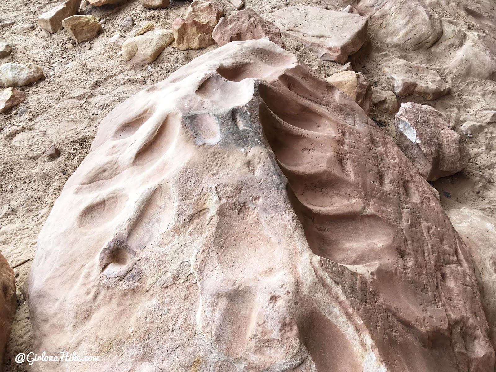 Exploring the Comb Ridge Canyons & Ruins, Cedar Mesa, Butler Wash, Split Level Ruins