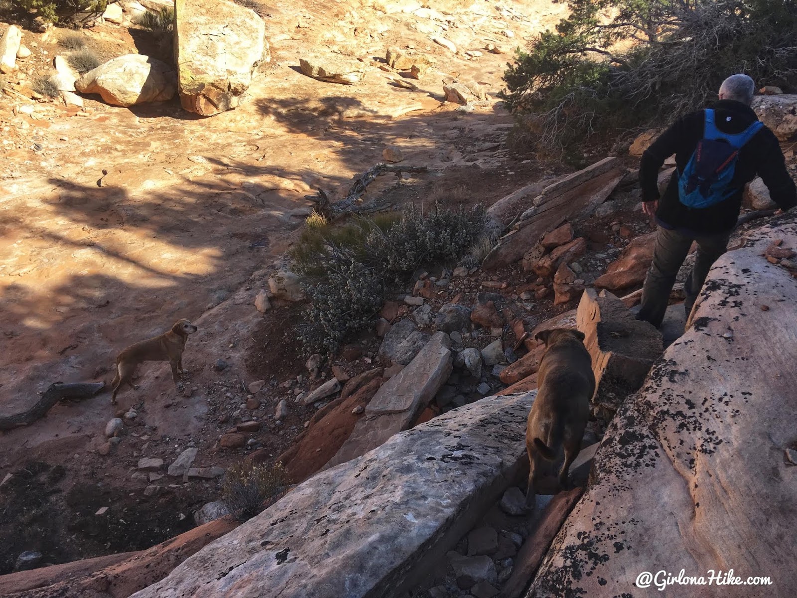 Hiking to the Seven Kivas Ruin via Shortcut Route