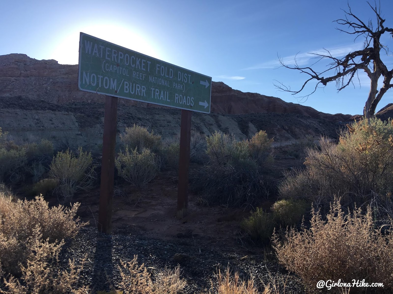 Backpacking Halls Creek Narrows, Capitol Reef National Park