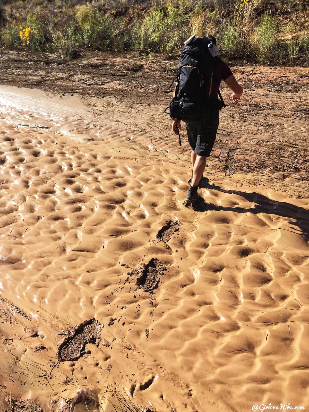 Backpacking Halls Creek Narrows, Capitol Reef National Park