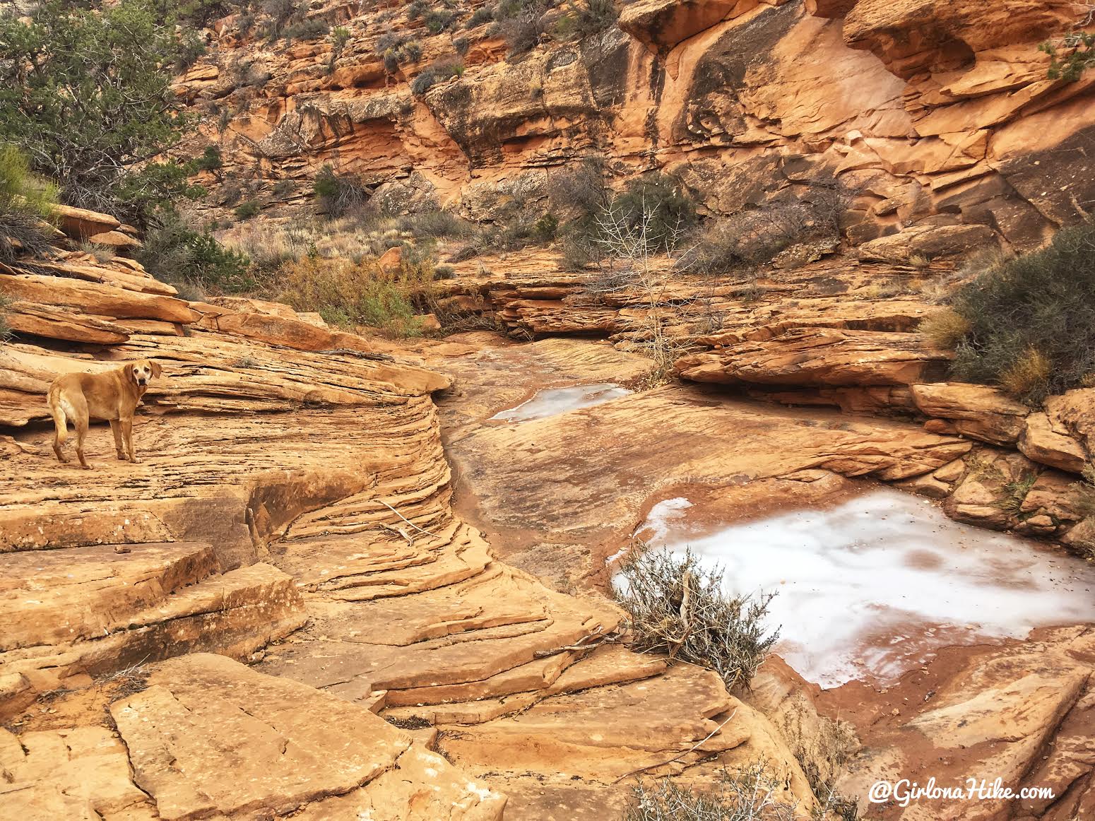 Hiking to the Seven Kivas Ruin via Shortcut Route