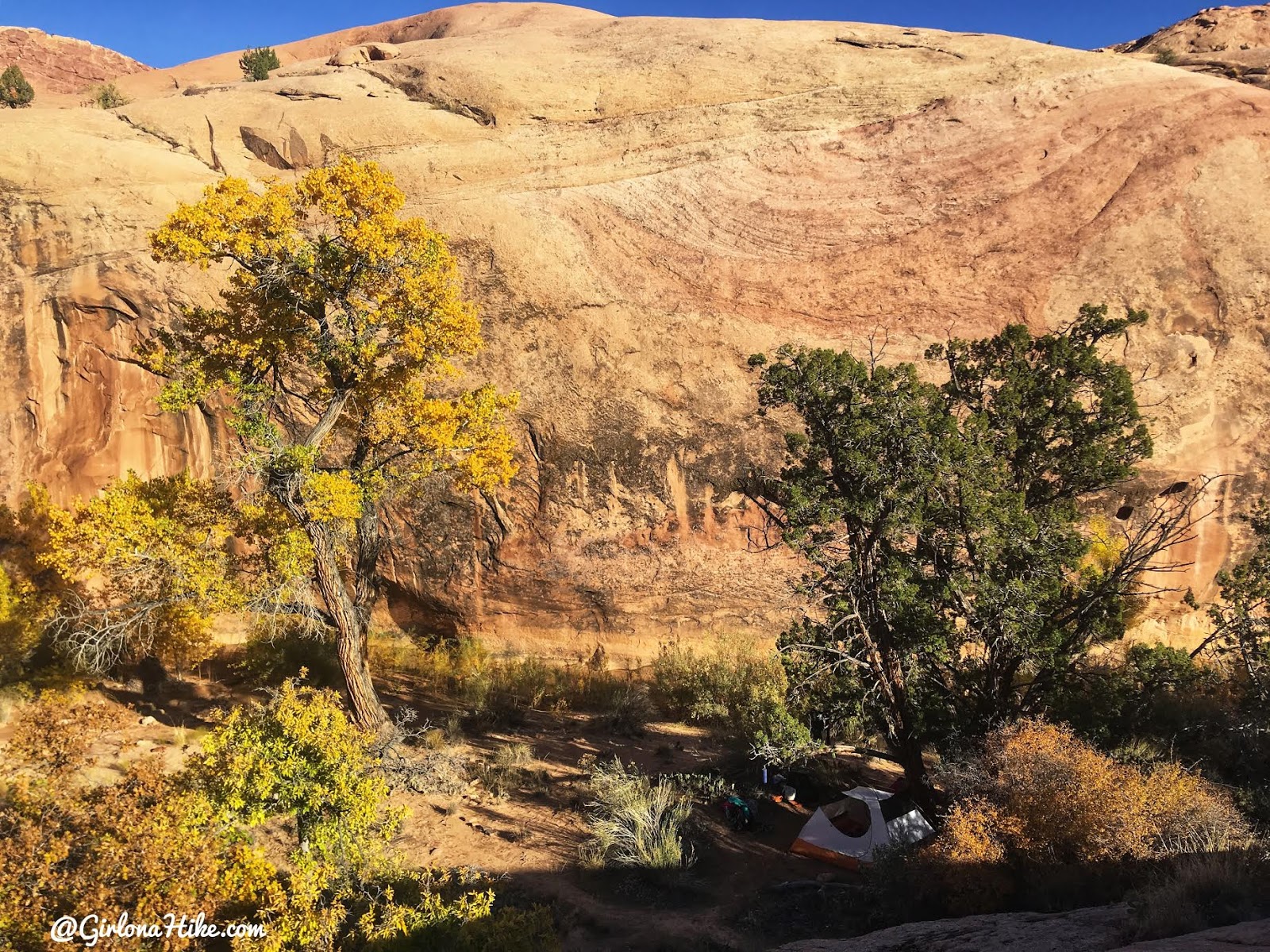 Backpacking Halls Creek Narrows, Capitol Reef National Park