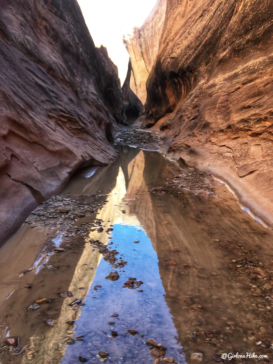 Backpacking Halls Creek Narrows, Capitol Reef National Park