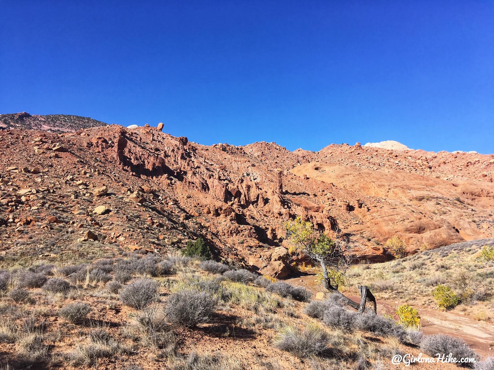 Backpacking Halls Creek Narrows, Capitol Reef National Park