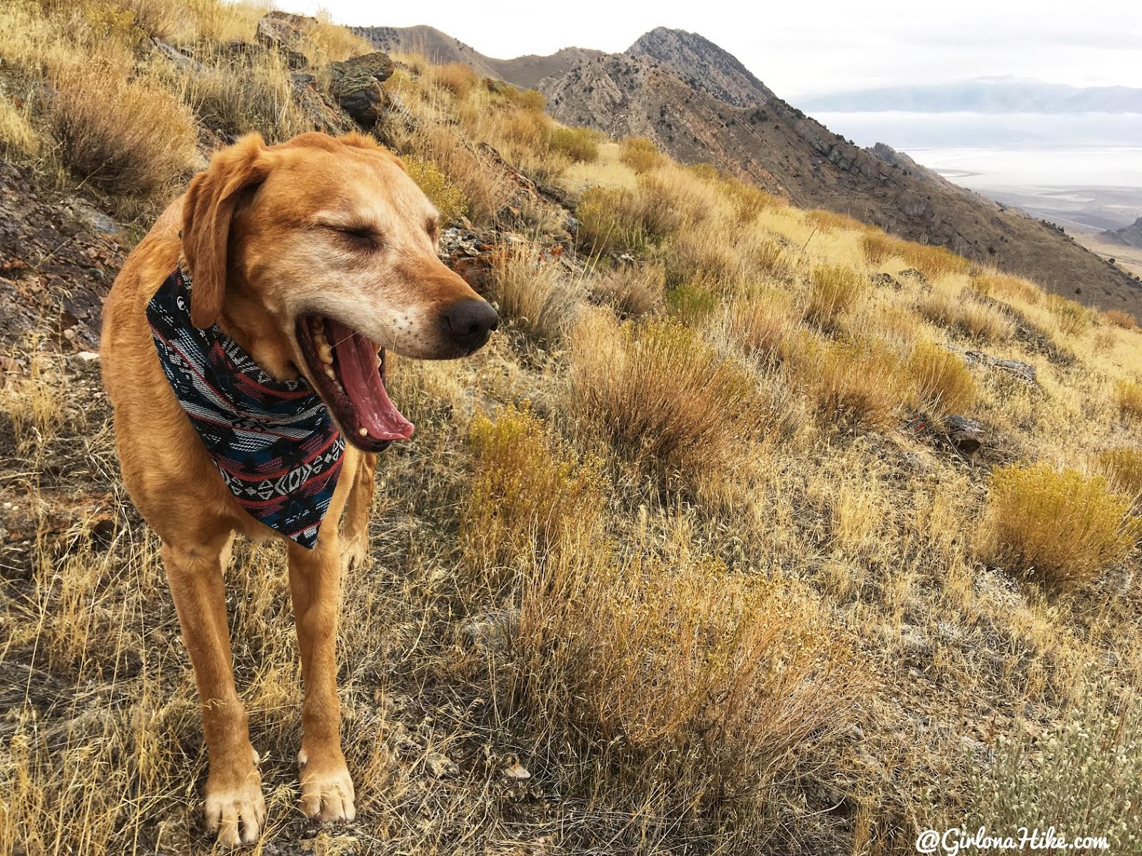 Hiking to Castle Rock, Stansbury Island