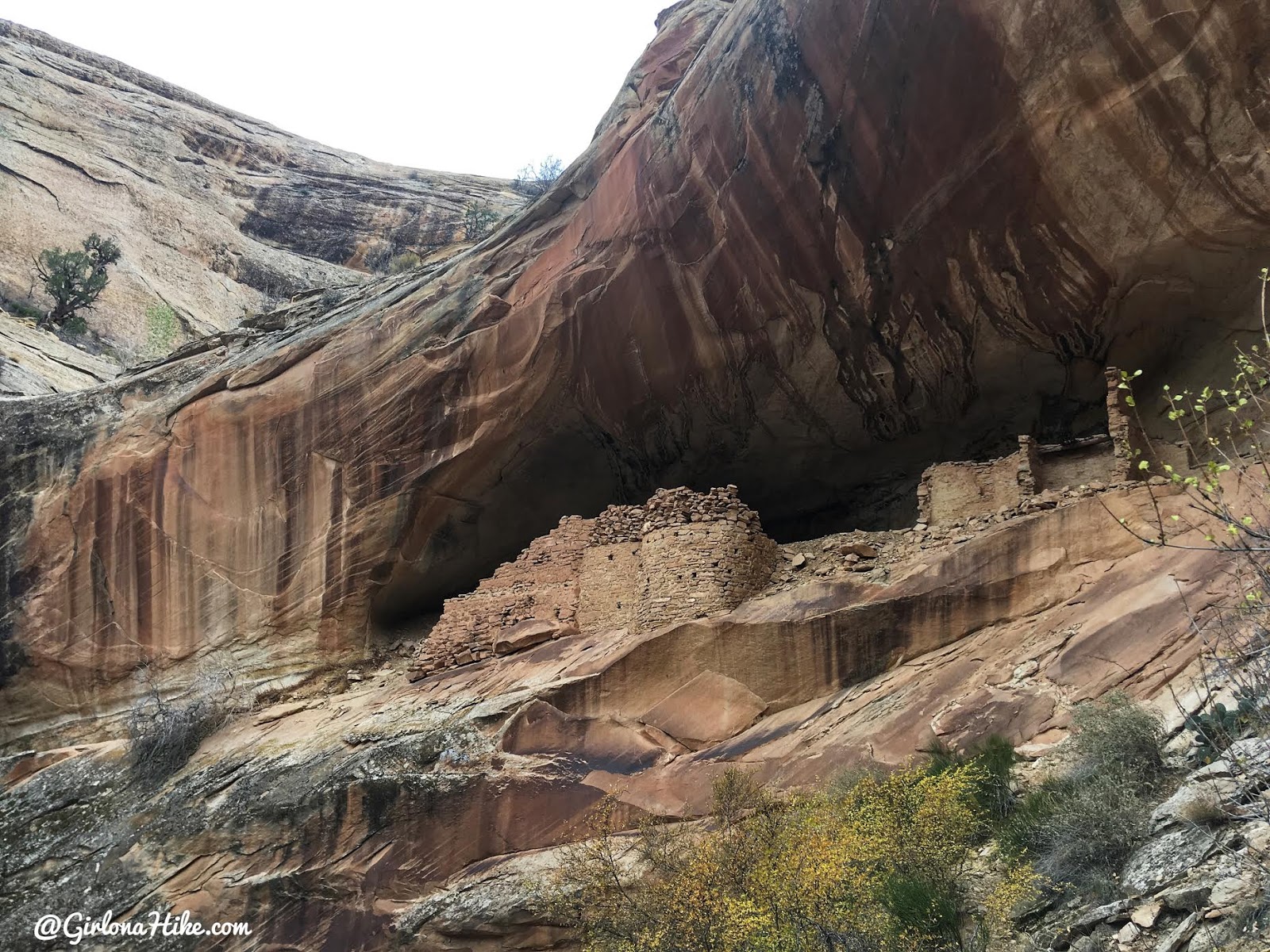 Exploring the Comb Ridge Canyons & Ruins, Cedar Mesa, Butler Wash, Monarch Cave Ruins