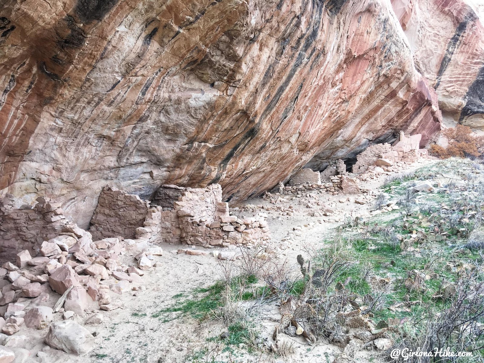 Exploring the Comb Ridge Canyons & Ruins, Cedar Mesa, Butler Wash, Split Level Ruins