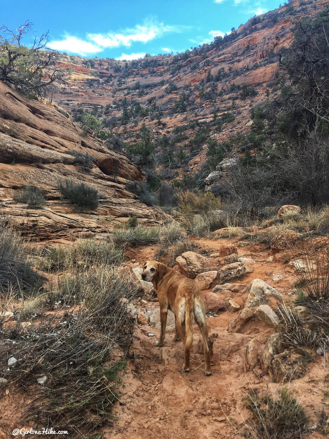 Hiking to the Seven Kivas Ruin via Shortcut Route